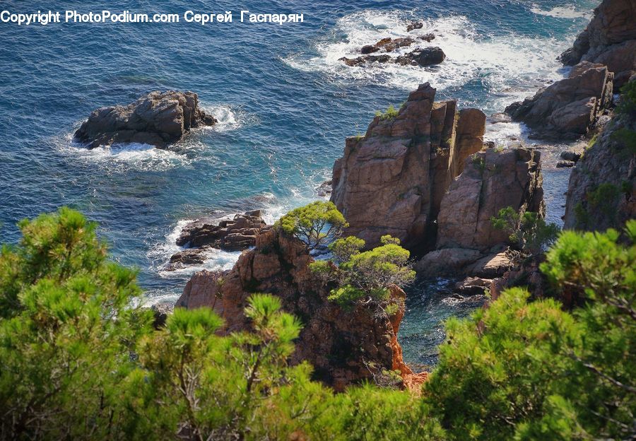 Cliff, Outdoors, Sea, Water, Ocean, Bush, Plant