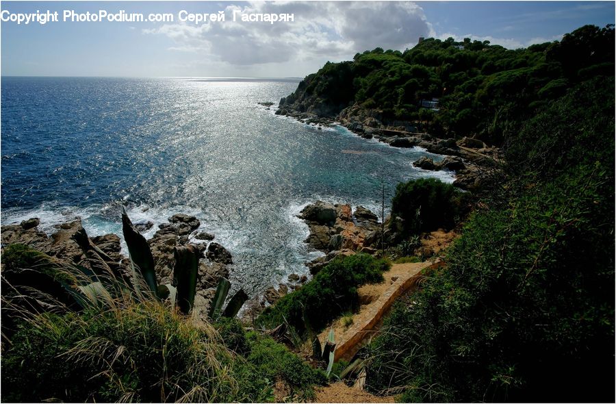Promontory, Coast, Outdoors, Sea, Water, Forest, Jungle