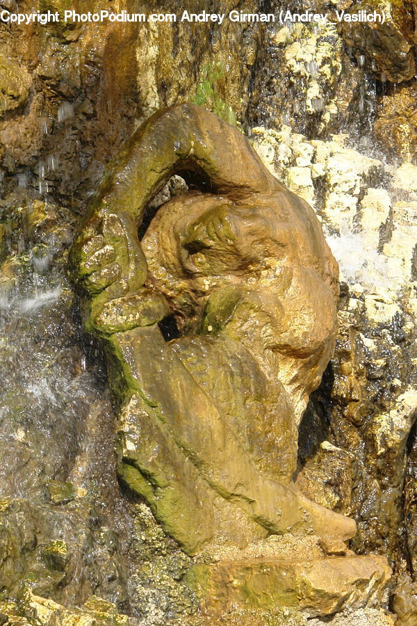 Head, Portrait