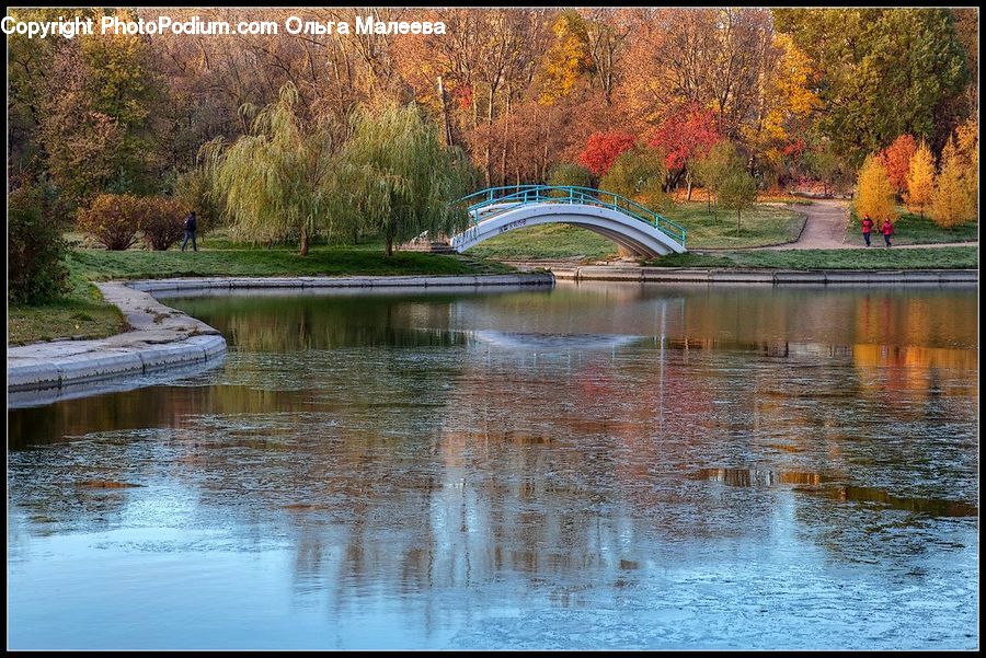 Canal, Outdoors, River, Water, Pond, Plant, Tree