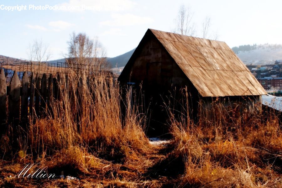 Cabin, Hut, Rural, Shack, Shelter, Ruins, Field