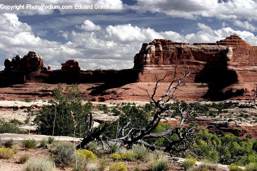 Mesa, Outdoors, Canyon, Valley, Cliff, Desert, Plant