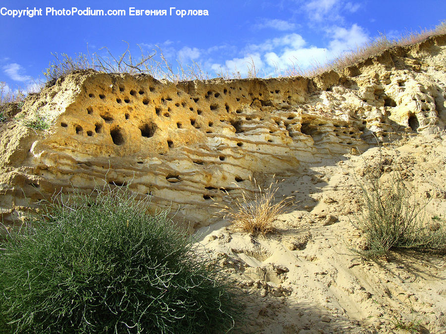Desert, Outdoors, Mesa, Plant, Vegetation, Grassland, Mound