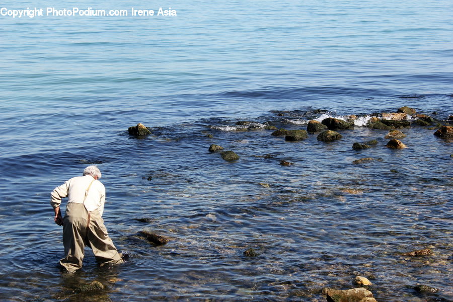 People, Person, Human, Water, Bird, Goose, Waterfowl