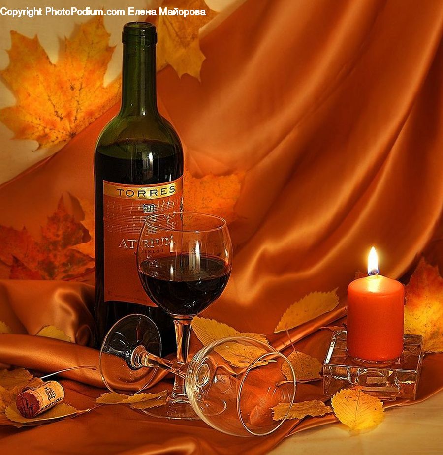 Fire, Flame, Plant, Potted Plant, Alcohol, Beverage, Liquor