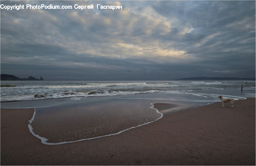 Beach, Coast, Outdoors, Sea, Water