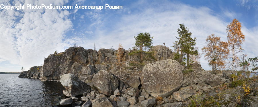 Cliff, Outdoors, Bush, Plant, Vegetation, Coast, Sea