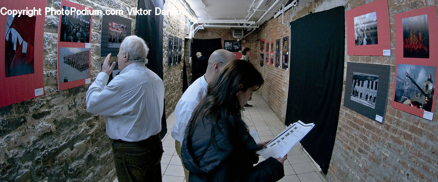 People, Person, Human, Back, Reading, Collage, Poster