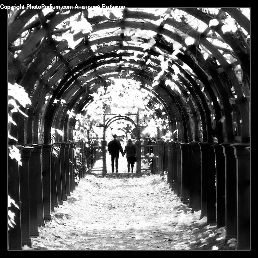 Arch, Aisle, Corridor, Alley, Alleyway, Road, Street