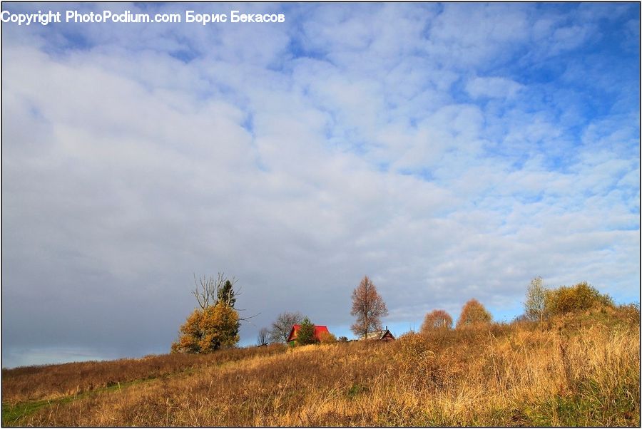 Field, Grass, Grassland, Land, Outdoors, Mound, Plant