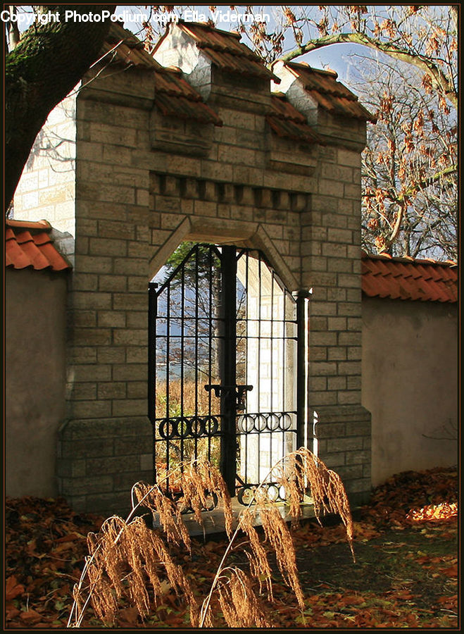 Brick, Fireplace, Hearth, Rubble, Plant, Potted Plant, Fence