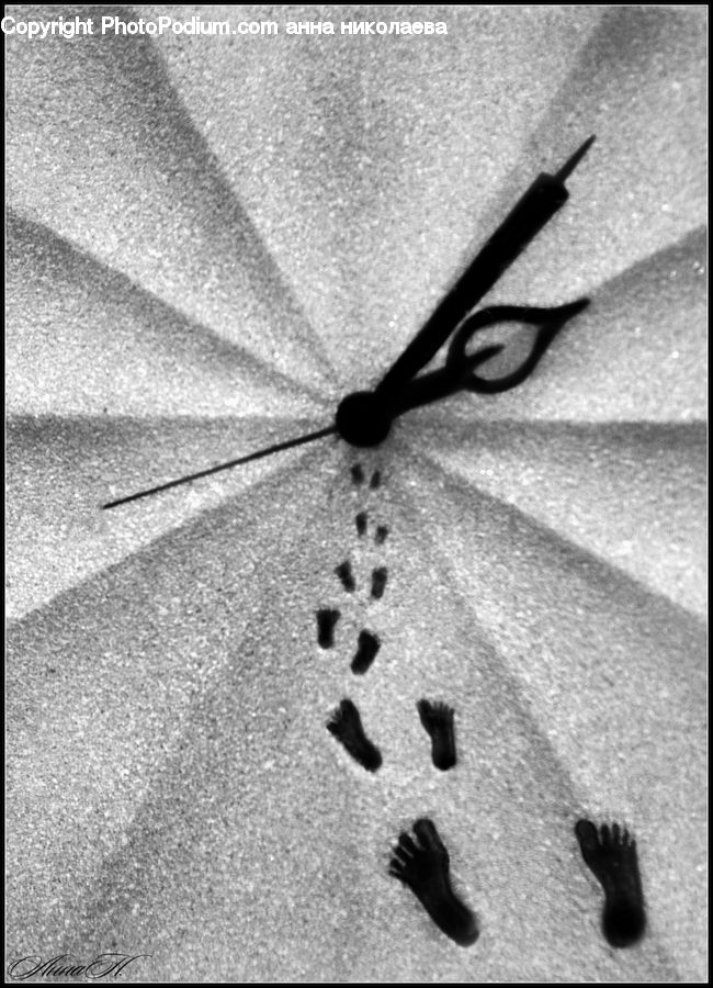 Footprint, Asphalt, Tarmac, Outdoors, Sand, Soil