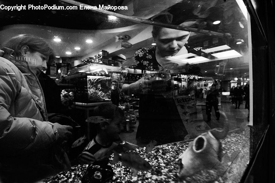 People, Person, Human, Fisheye, Bar Counter, Pub, Architecture