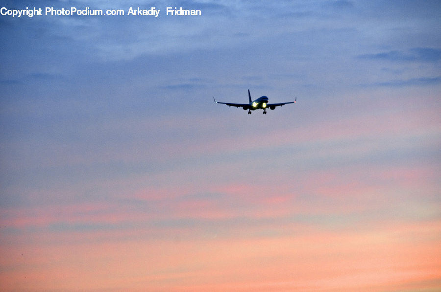 Adventure, Flight, Gliding, Flying