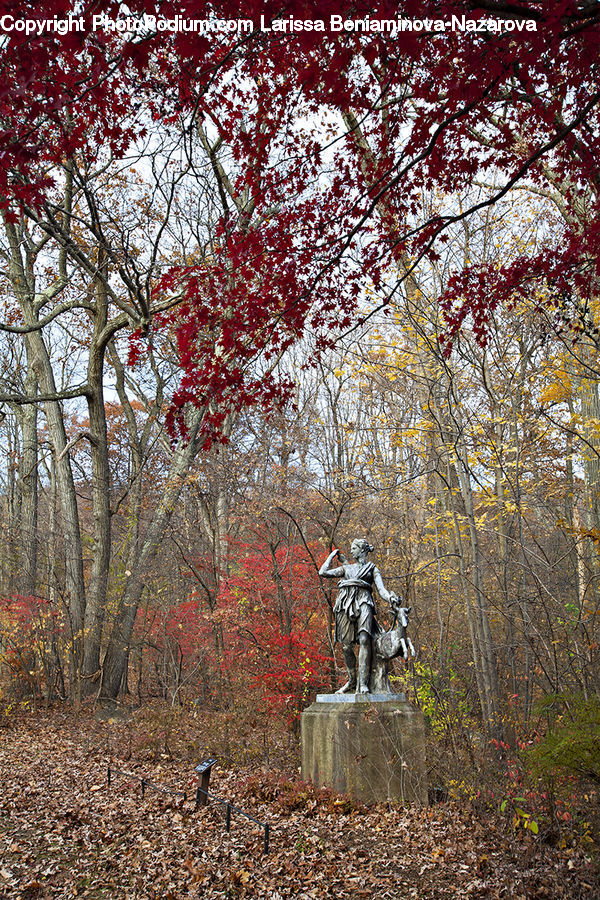 Art, Sculpture, Statue, Park, Forest, Vegetation, Angel