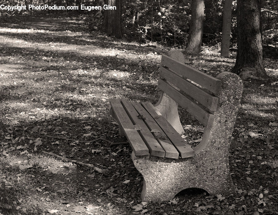 Bench