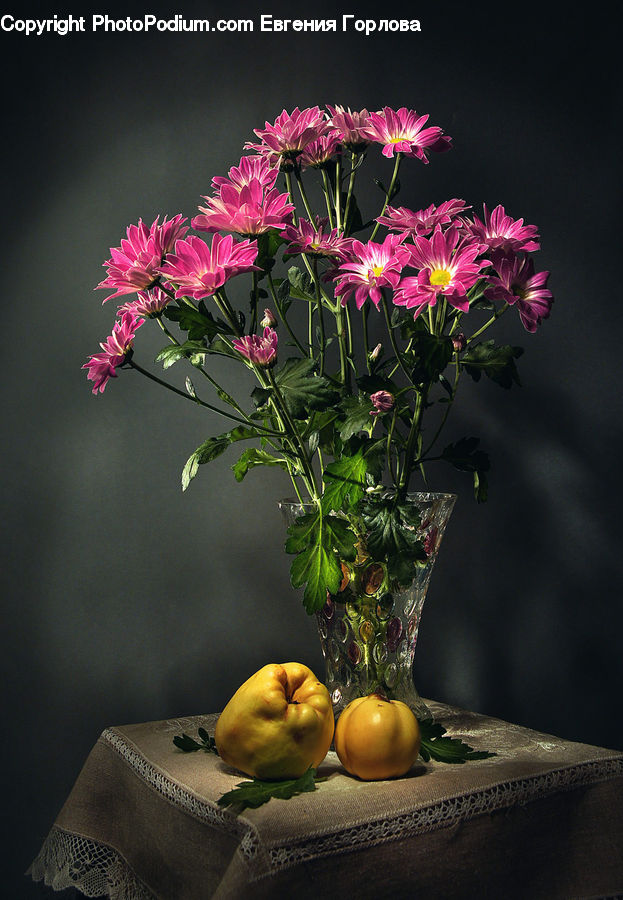 Fruit, Quince, Blossom, Flora, Flower, Geranium, Plant