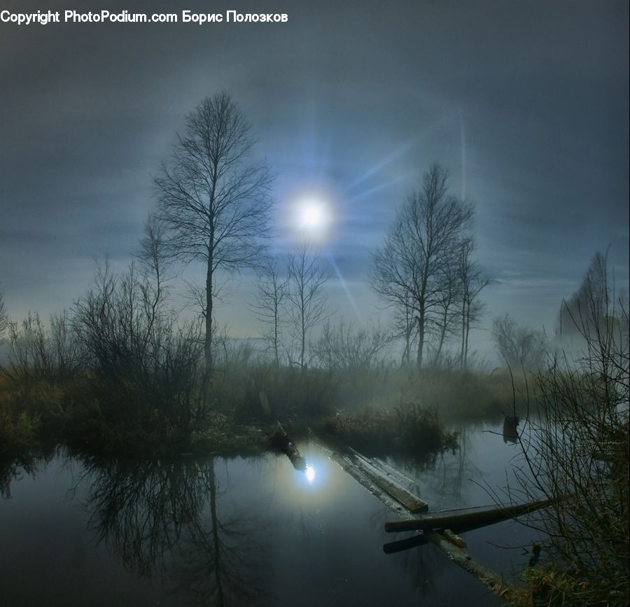 Fog, Land, Marsh, Pond, Swamp, Water, Dawn