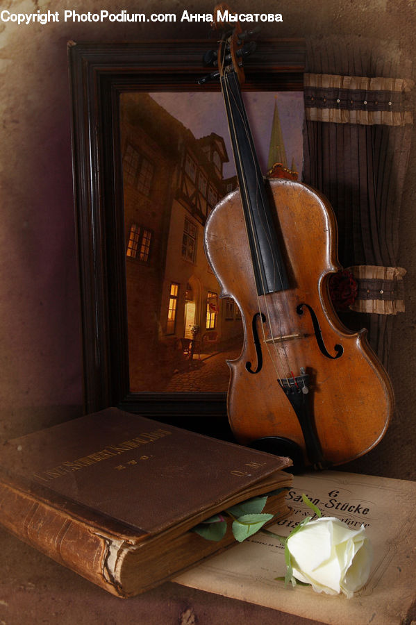 Butter, Food, Musical Instrument, Viola, Blossom, Flower, Plant