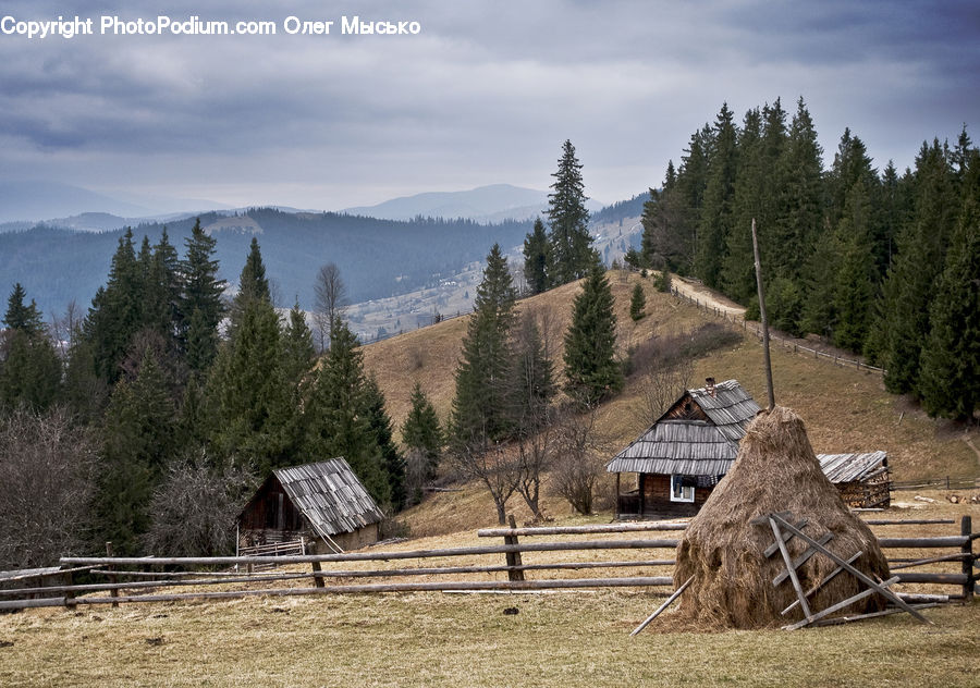 Cabin, Hut, Rural, Shack, Shelter, Lumber, Countryside