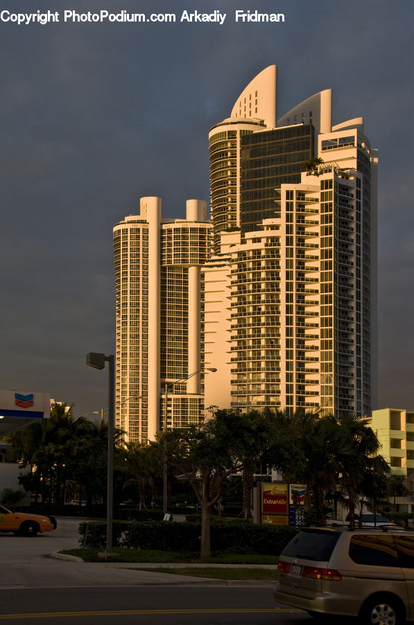 Plant, Potted Plant, Building, Housing, City, High Rise, Palm Tree