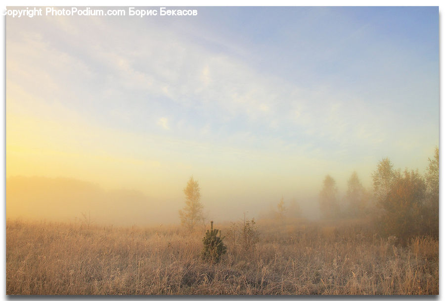 Dawn, Dusk, Sky, Sunrise, Sunset, Fog, Landscape