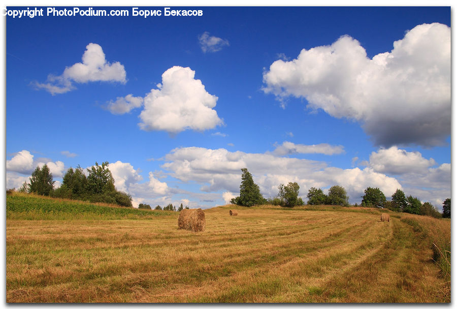 Cloud, Cumulus, Sky, Field, Grass, Grassland, Land