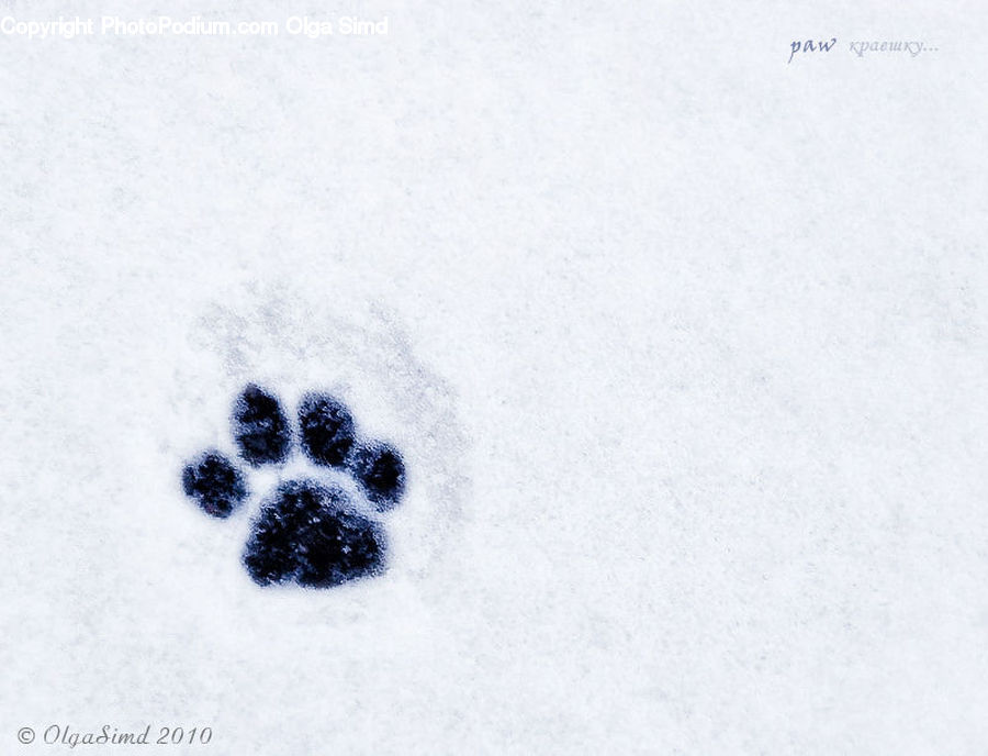 Footprint, Sugar, Ice, Outdoors, Snow, Alphabet, Ampersand