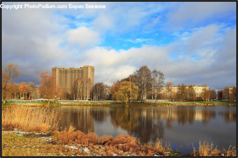 Landscape, Nature, Scenery, Building, Housing, Field, Grass