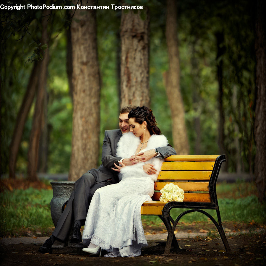 People, Person, Human, Bench, Park Bench, Bird, Cormorant