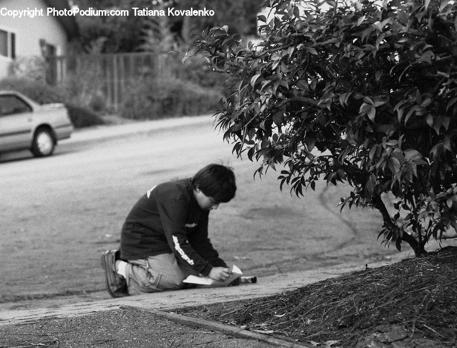People, Person, Human, Automobile, Car, Vehicle, Asphalt