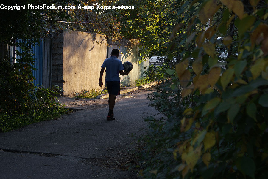 Human, People, Person, Plant, Potted Plant, Leisure Activities, Walking
