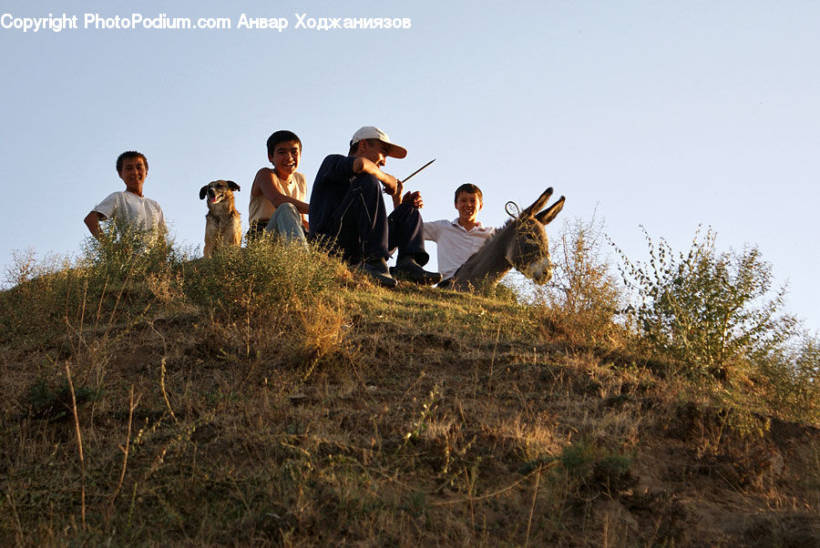 People, Person, Human, Child, Kid, Hat, Field