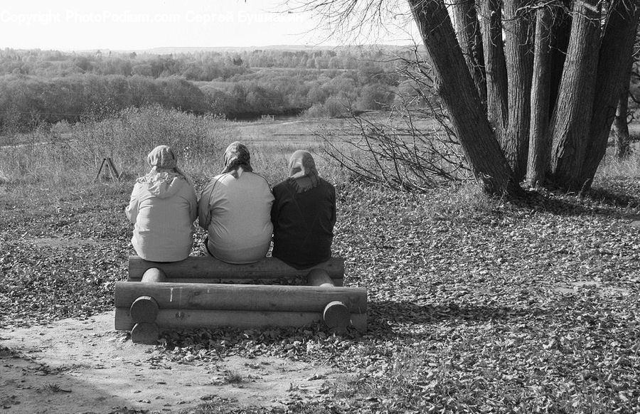 People, Person, Human, Bench, Back, Plant, Tree
