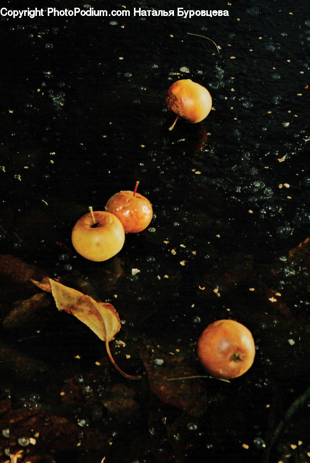 Apple, Fruit, Citrus Fruit, Orange, Nebula, Outer Space, Space
