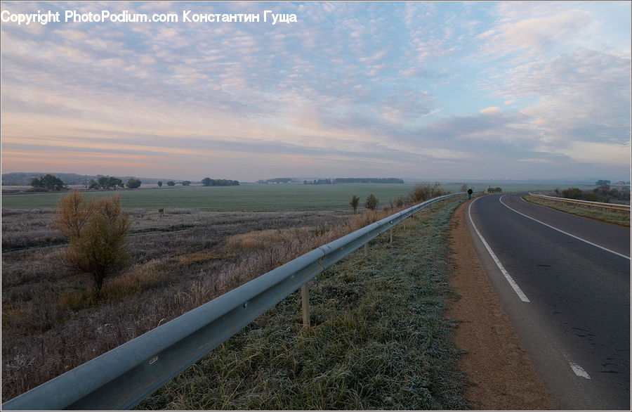 Freeway, Road, Highway, Field, Grass, Grassland, Plant