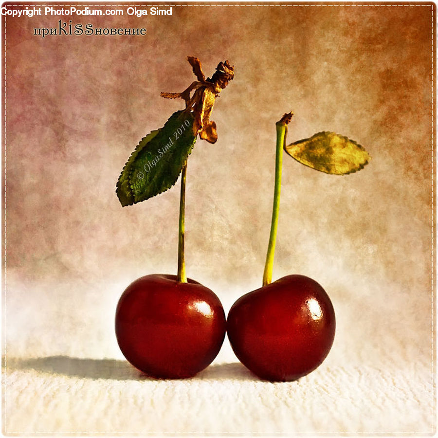 Apple, Fruit, Cherry, Fossil