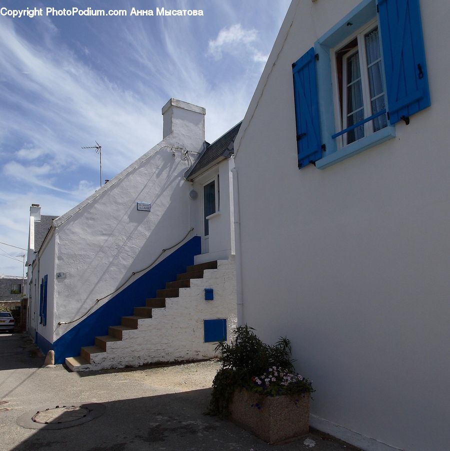 Plant, Potted Plant, Building, Cottage, Housing, Hut, Shelter