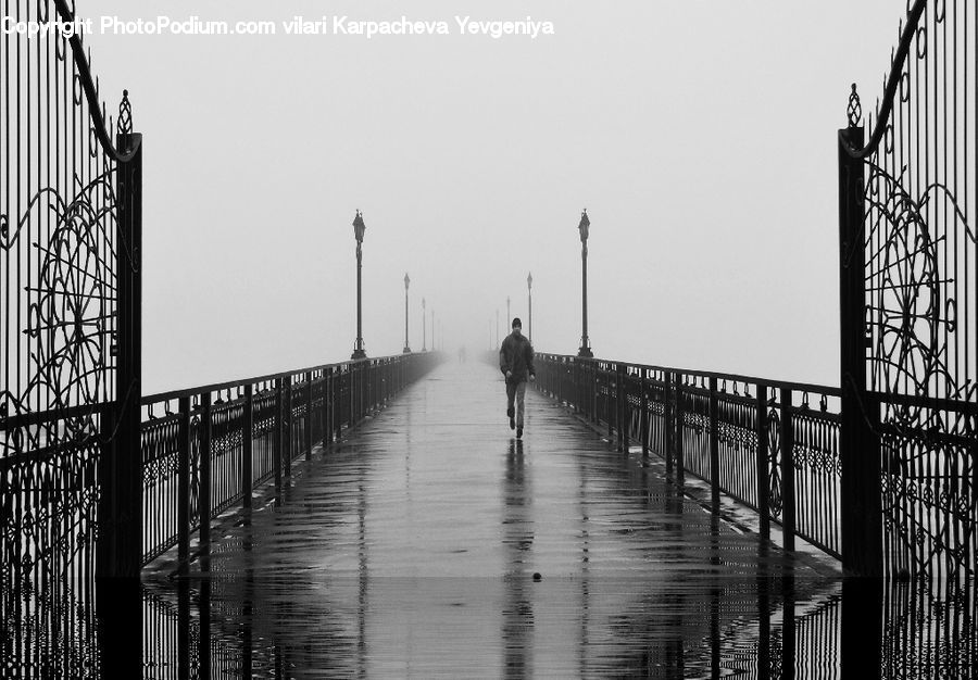 Dock, Pier, Bridge, Landing