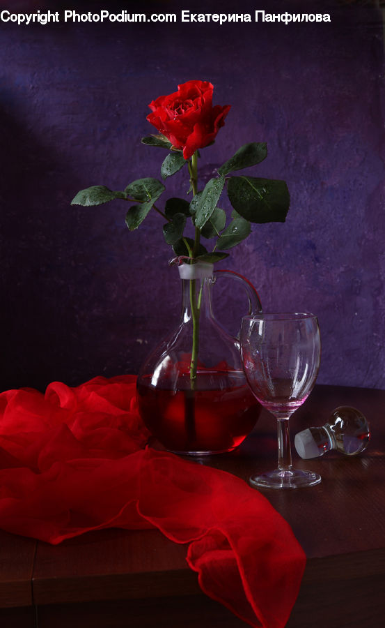 Blossom, Flower, Plant, Rose, Glass, Goblet, Floral Design