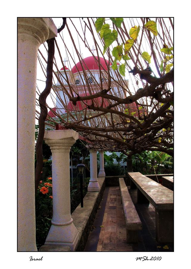 Patio, Pergola, Porch, Bench, Forest, Jungle, Rainforest