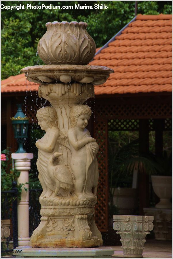 Plant, Potted Plant, Jar, Porcelain, Vase, Fir, Redwood