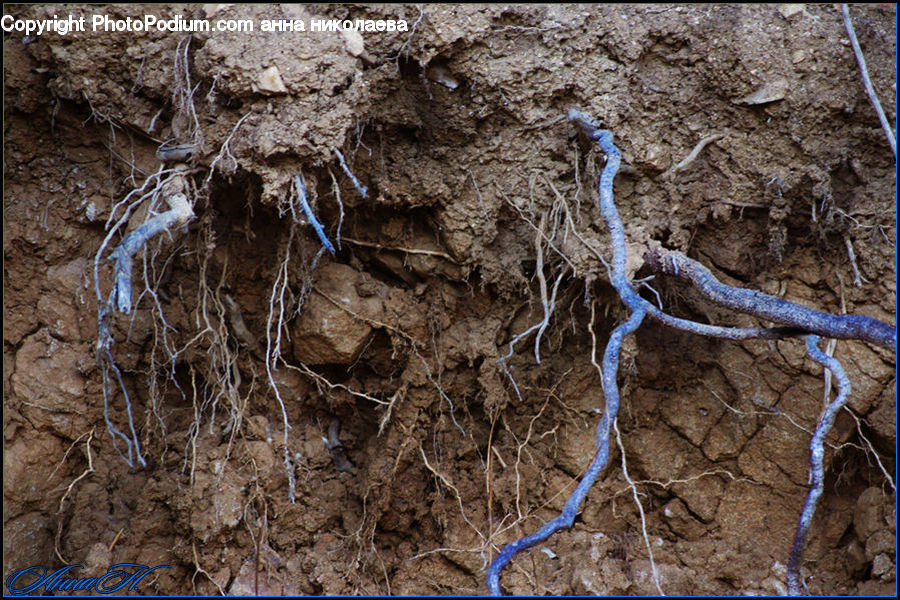 Soil