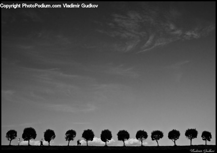Silhouette, Cloud, Cumulus, Sky