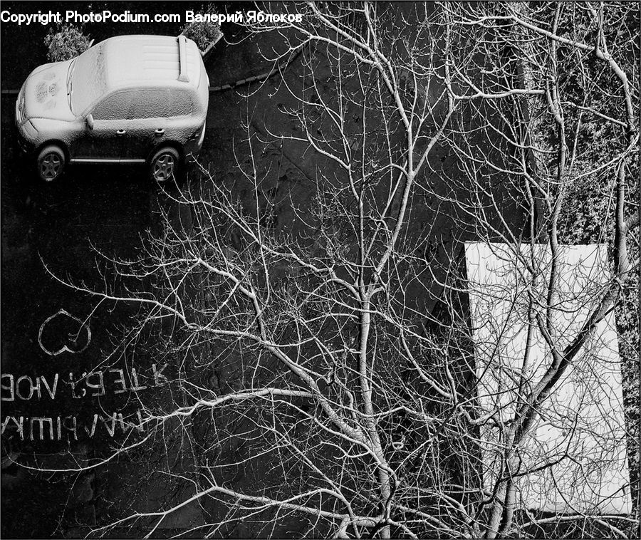 Ice, Outdoors, Snow, Automobile, Car, Sedan, Vehicle