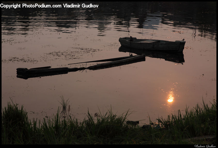 Grass, Plant, Reed, Boat, Dinghy, Rowboat, Vessel