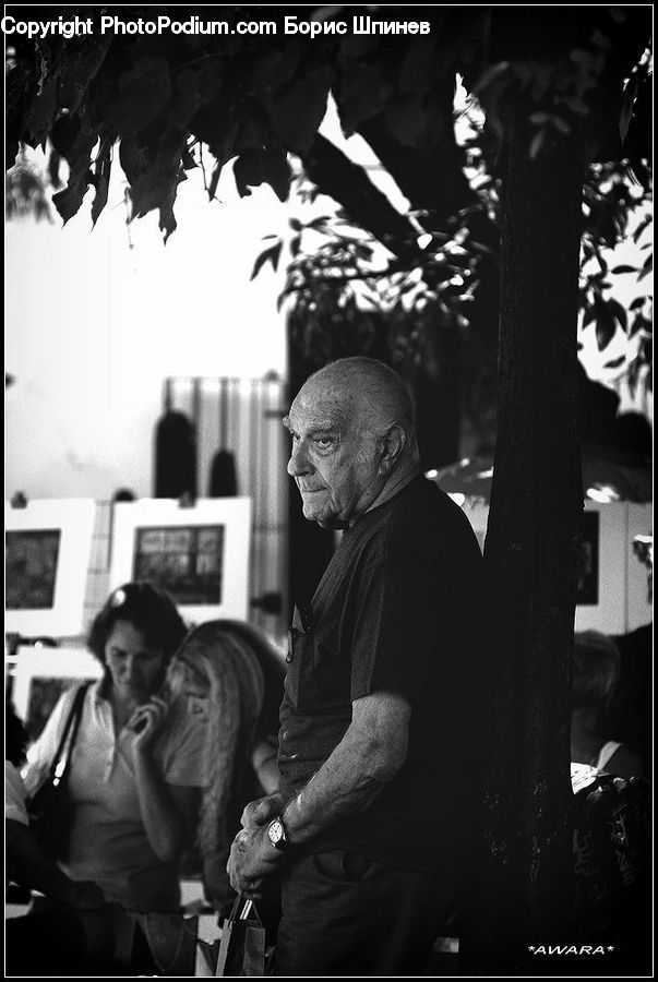 People, Person, Human, Bus, Vehicle, Portrait