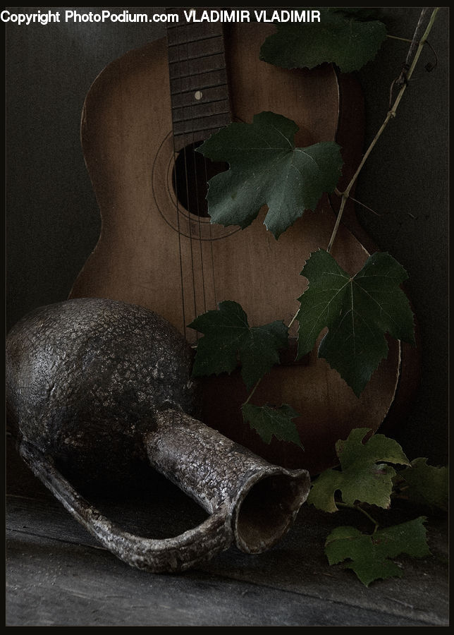 Ivy, Plant, Vine, Potted Plant, Flower Arrangement, Ikebana, Vase