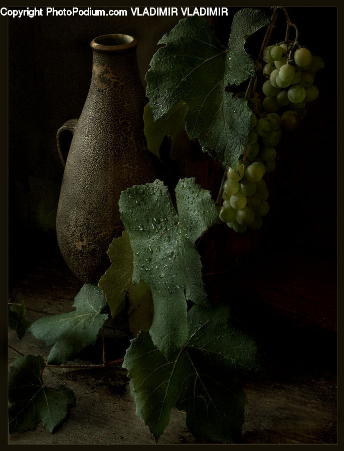 Fruit, Grapes, Ivy, Plant, Vine, Countryside, Farm