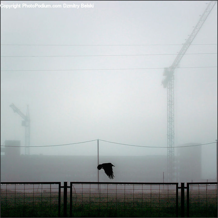 Fog, Mist, Outdoors